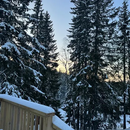 Skogshytte Pa Skreia Chalet *