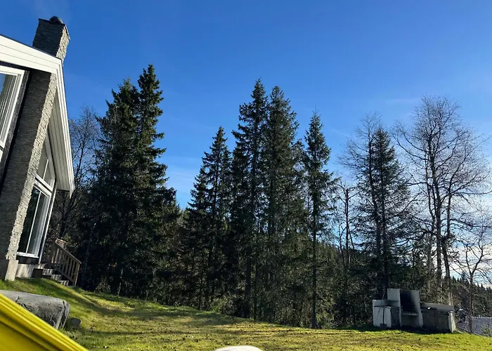 Skogshytte Pa Skreia Alpstuga Brattlia