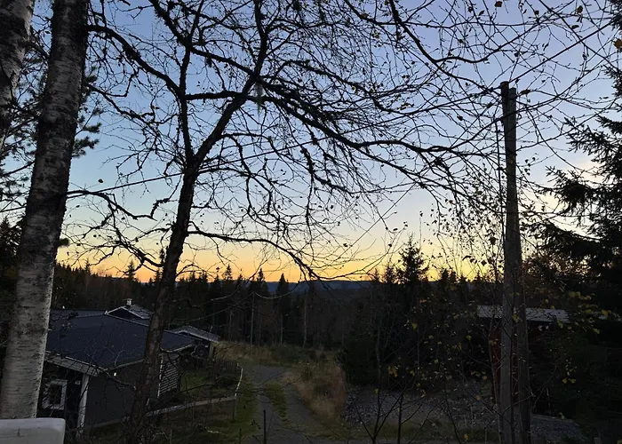Alpstuga Skogshytte Pa Skreia