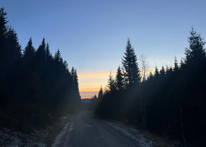 Skogshytte Pa Skreia Alpstuga
