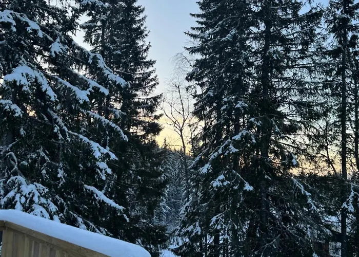Skogshytte Pa Skreia Alpstuga *